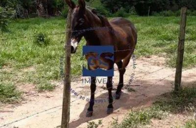 Chácara / sítio à venda na Rodovia Castelo Branco, City Castelo, Itu