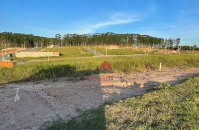 Terreno à venda, 200 m² por r$ 210.000 - bairro vila amélia - são josé dos campos/sp
