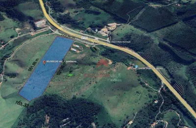 Área à venda, 80000 m² por r$ 8.000.000 - santa cruz - jambeiro/sp