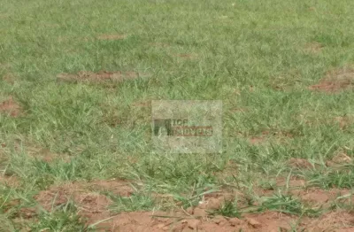 Terreno à venda na Avenida Rogério Zanaga de Camargo Neves, Loteamento Residencial e Comercial Bairro Pacaembu, Americana