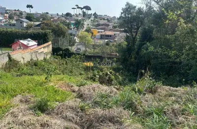 Terreno para venda,  no bairro campo comprido - te9437