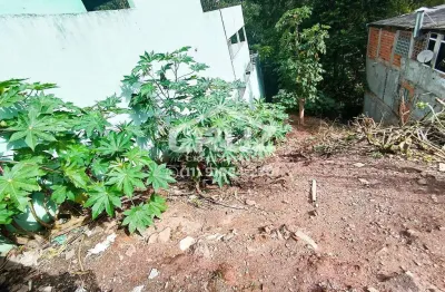 Terreno à venda na Avenida Aparecida, Vila Rosina, Caieiras