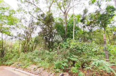 Vendo chácara em itatiaiuçu de 1000m² excelente localização.