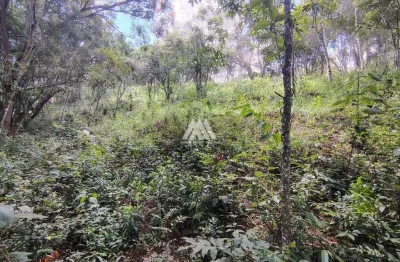 Vendo chácara em itatiaiuçu de 1000m² excelente localização.