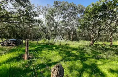 Vendo fazenda de 15 hectares em divinópolis com excelente localização!