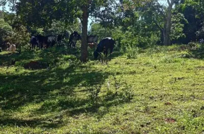 Terreno á venda de 25.000m² com topografia á venda em igarapé mg!