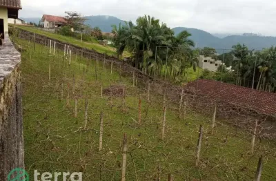Terreno à venda na vila nova, ascurra  por r$ 262.315