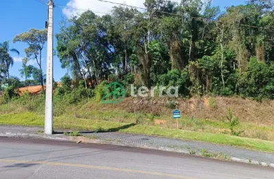 Terreno comercial à venda no araponguinhas, timbó  por r$ 326.472