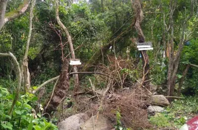 Terreno à venda na Servidão Niberto Borges, Pântano do Sul, Florianópolis