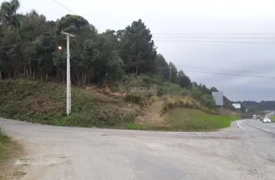 Terreno comercial à venda na Rodovia BR-277 Curitiba Ponta Grossa, 1, Jardim Emília, Campo Largo