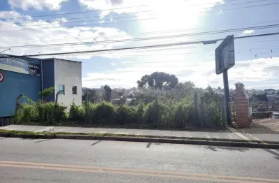 Terreno comercial para alugar na Rua Mato Grosso, S_N, Ferraria, Campo Largo