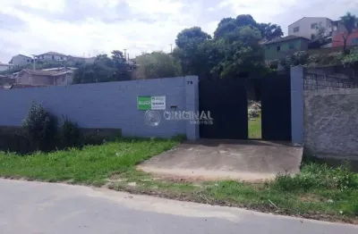 Terreno comercial para alugar na Rua Afonso Aleixo, 79, Vila Gilcy, Campo Largo