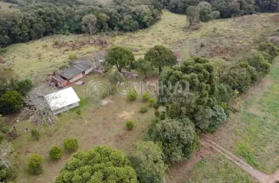 Chácara / sítio à venda na Rua José Wsoek, 12, Tindiquera, Araucária