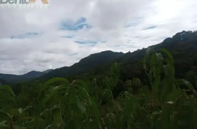 Chácara / sítio à venda na Estrada Do Morro Do Cal, Centro, Campo Largo