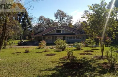 Chácara / sítio com 5 quartos à venda na Rua Reginaldo Rosa, Vila Glória, Campo Largo