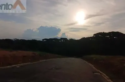 Terreno em loteamento em jardim das palmeiras, campo largo/pr
