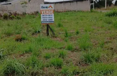 Terreno à venda na Rua João-de-barro, Jardim Lise, Campo Largo