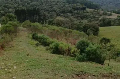 Chácara / sítio à venda no Centro, Balsa Nova 