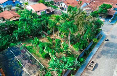 Área ampla à venda , ,   no bairro cidade nova peruíbe, 220 metros da praia, peruíbe-sp