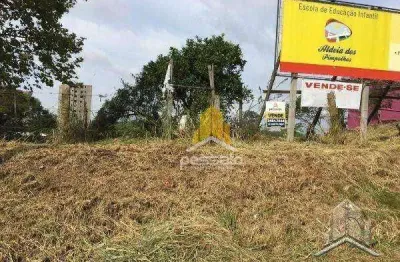 Terreno à venda por r$1.915.000,00 - passo das pedras - gravataí, rs