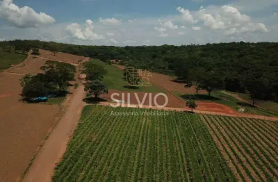 Chácara / sítio à venda na br 060, centro, santo antônio do descoberto, 5000 m2 por r$ 450.000