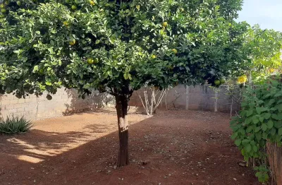 Casa com 4 quartos à venda no Custódio Pereira, Uberlândia 