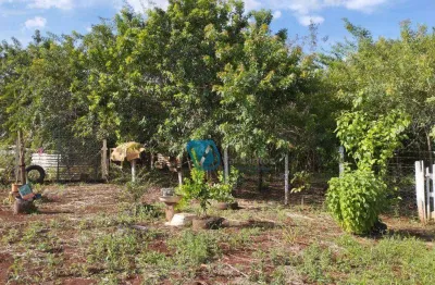 Terreno à venda, 1000 m² por r$ 180.000,00 - conjunto habitacional jamile dequech - londrina/pr