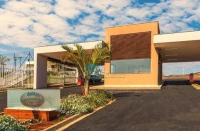 Terreno à venda, 310 m² por r$ 359.000 - vila salomé - cambé/pr