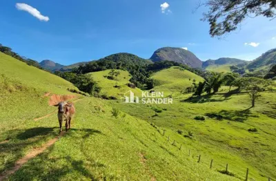Fazenda maravilhosa à venda, 41,25 alqueires (fluminense) por r$ 2.850.000 - centro (visconde de imbé) - trajano de moraes/rj