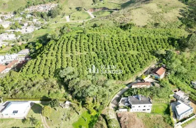 Terreno à venda, 13200 m² por r$ 2.200.000,00 - cônego - nova friburgo/rj