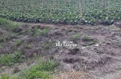 Terreno à venda, 10000 m² por r$ 450.000,00 - córrego d antas - nova friburgo/rj