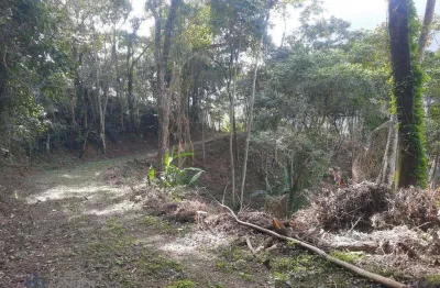 Terreno à venda, 7400 m² por r$ 1.500.000,00 - cônego - nova friburgo/rj