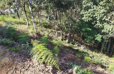 Terreno à venda, 549 m² por r$ 243.000,00 - cônego - nova friburgo/rj