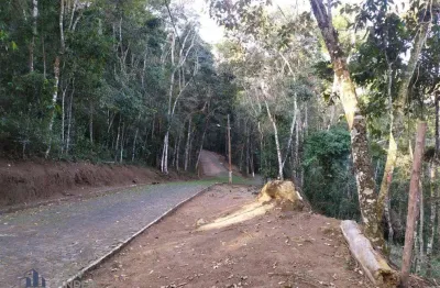 Terreno à venda, 404 m² por r$ 250.000,00 - cônego - nova friburgo/rj