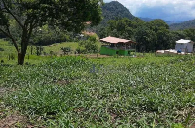 Terreno à venda, 4331 m² por r$ 150.000,00 - cardinot - nova friburgo/rj