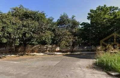Terreno residencial à venda, jardim chapadão, campinas - te0308.