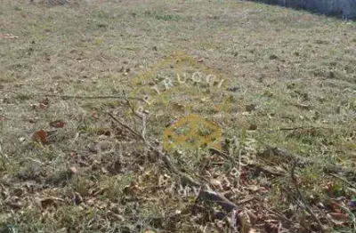 Terreno comercial à venda, jardim leonor, campinas - te0859.