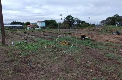 Terreno à venda, 5000 m² por r$ 550.000,00 - campo grande - campinas/sp
