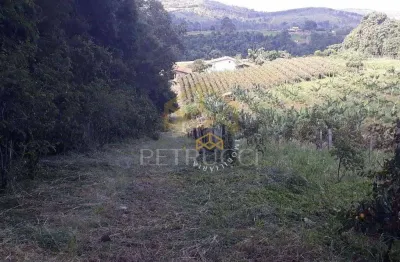 Chácara com 3 dormitórios à venda, 24000 m² por r$ 1.500.000,00 - condomínio jardim paulista ii - vinhedo/sp