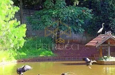 Terreno à venda, 1160 m² por r$ 1.508.000,00 - condomínio residencial colina - campinas/sp