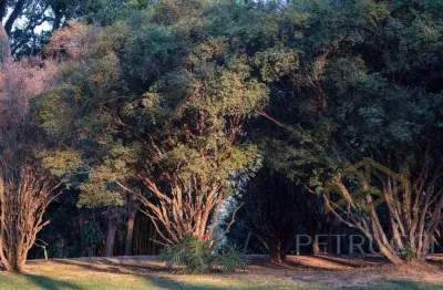 Terreno residencial à venda, tanquinho velho, jaguariúna - te2032.