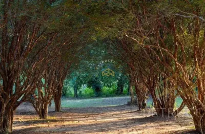 Terreno à venda, 300 m² por r$ 255.000,00 - tanquinho velho - jaguariúna/sp