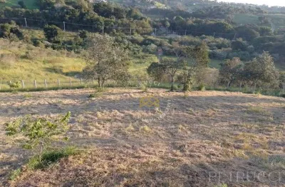 Área, 37360 m² - venda por r$ 2.500.000,00 ou aluguel por r$ 6.000,00 - joaquim egídio - campinas/sp