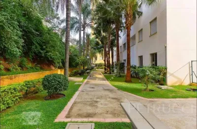 Apartamento com 2 dormitórios à venda, 57 m² por r$ 300.000,00 - jardim dom vieira - campinas/sp