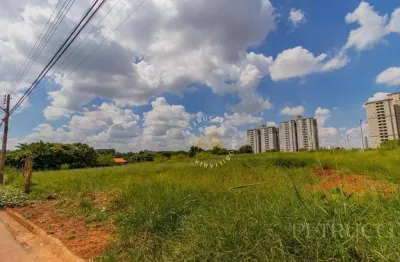 Terreno à venda, 346 m² por r$ 330.000,00 - jardim dos calegaris - paulínia/sp