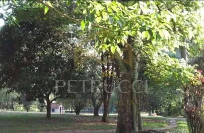 Área à venda, 15000 m² por r$ 9.000.000,00 - chácaras são martinho - campinas/sp