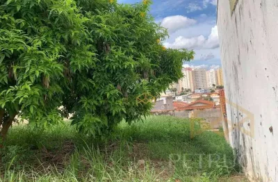 Terreno residencial à venda, vila santana, campinas - te3405.