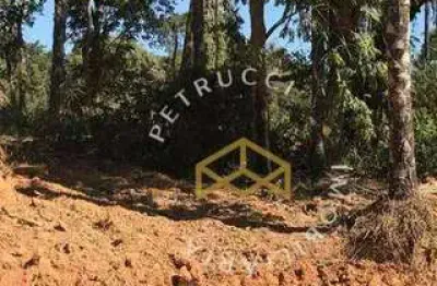 Terreno residencial à venda, condominio fazenda duas marias, jaguariúna - te3495.