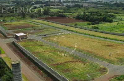 Terreno em condomínio fechado à venda na Avenida Constante Pavan, 1395, Betel, Paulínia