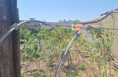 Terreno à venda, 507 m² por r$ 400.000,00 - jardim das palmeiras - sumaré/sp